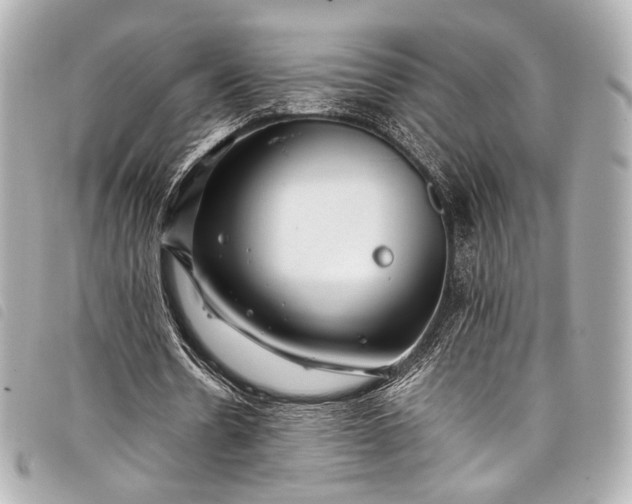 X0000098080530200804181201