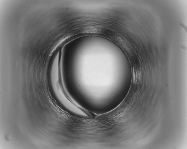 X0000098080531200804181201