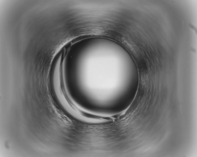 X0000098080532200804181201