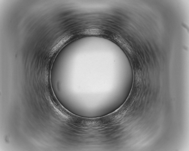 X0000098080533200804181201