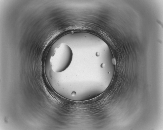 X0000098080534200804181201