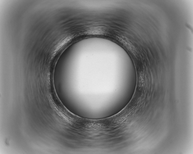 X0000098080535200804181201