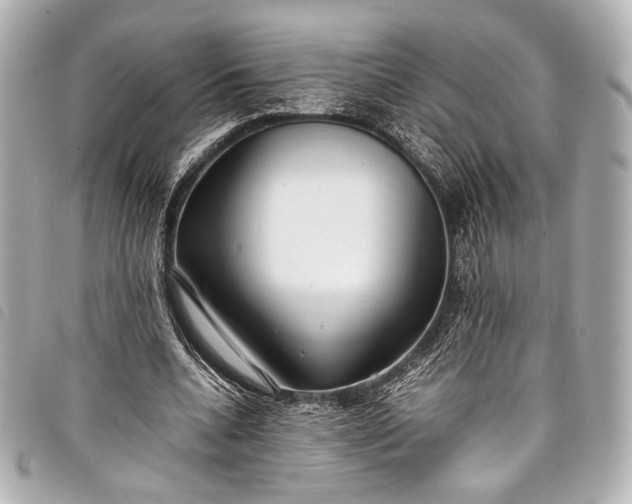 X0000098080536200804181201