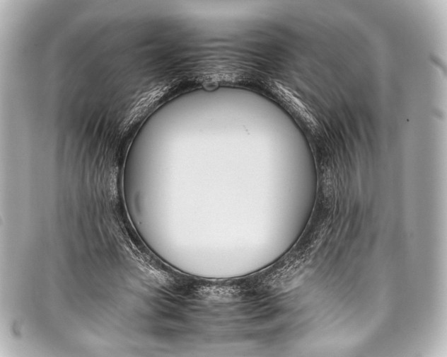 X0000098080537200804181201