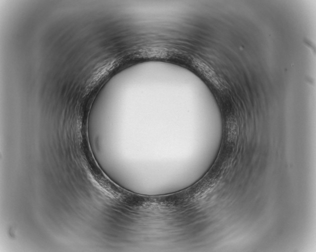 X0000098080538200804181201