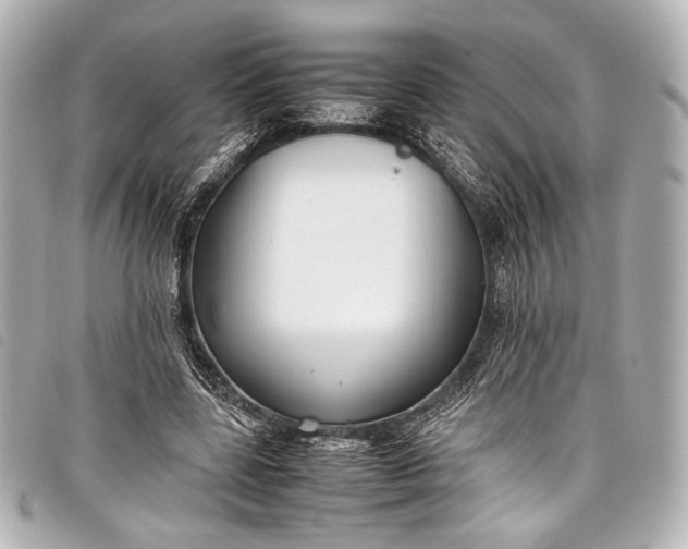 X0000098080539200804181201