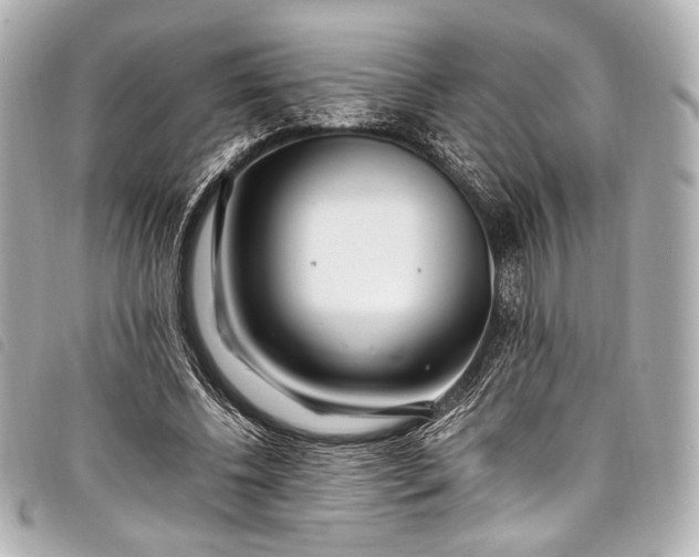 X0000098080540200804181201