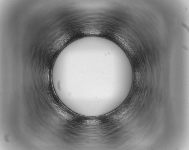 X0000098080541200804181201