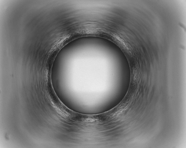 X0000098080542200804181201