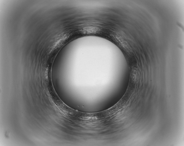 X0000098080543200804181201