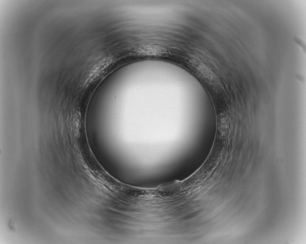 X0000098080544200804181201