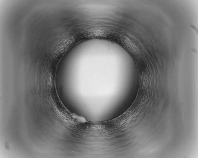 X0000098080546200804181201