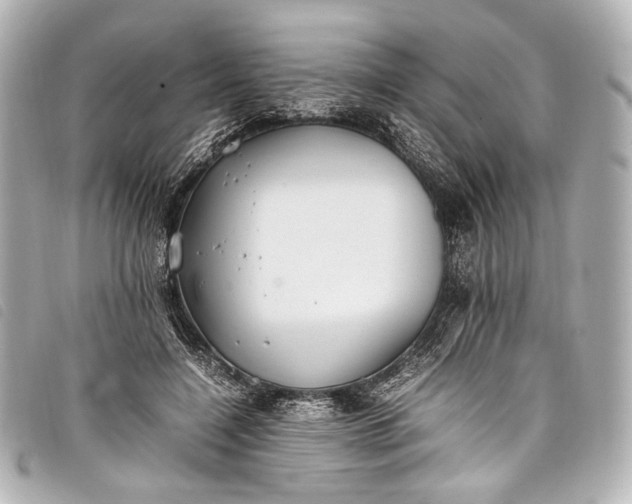 X0000098080548200804181201