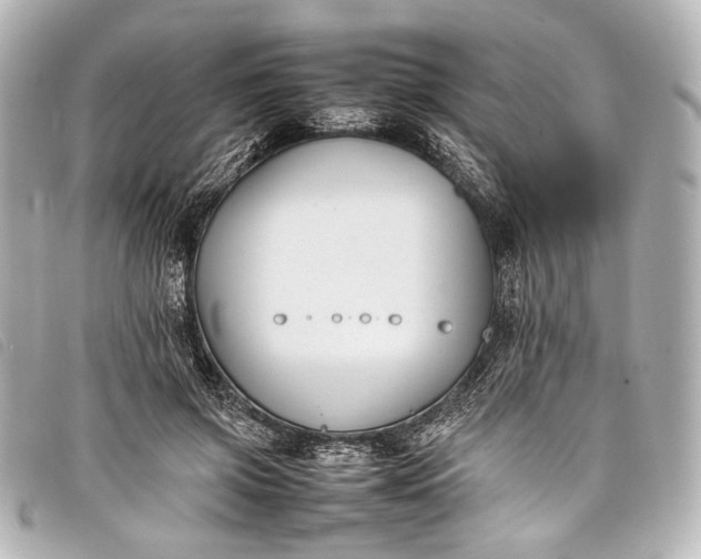 X0000098080549200804181201