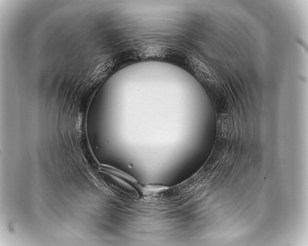 X0000098080550200804181201