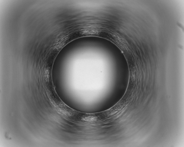 X0000098080551200804181201