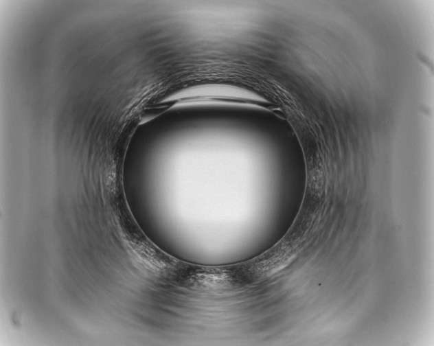 X0000098080552200804181201