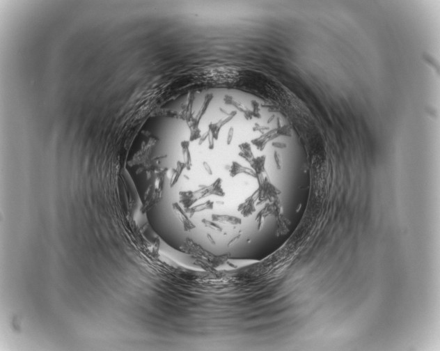 X0000098080553200804181201