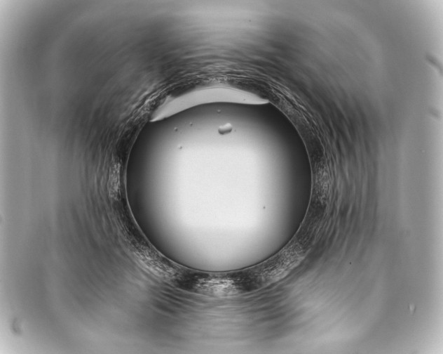 X0000098080554200804181201