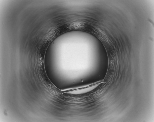 X0000098080555200804181201