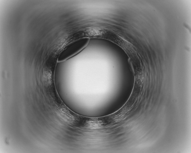 X0000098080556200804181201