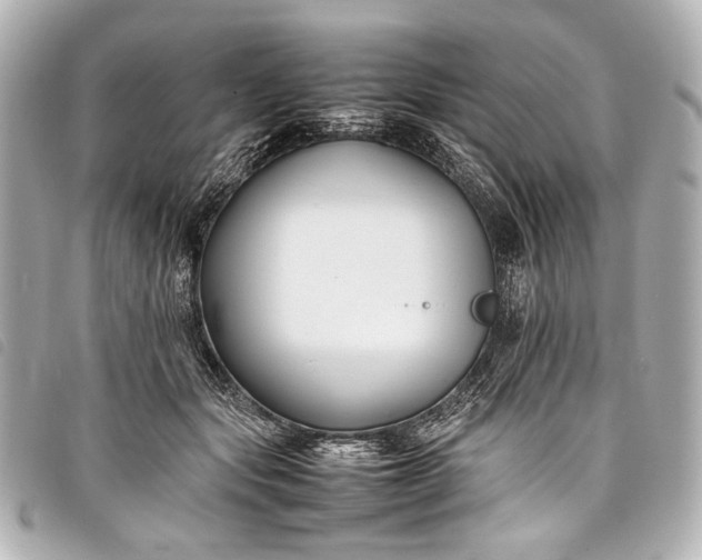 X0000098080557200804181201