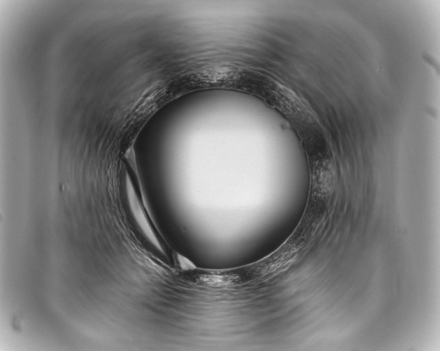 X0000098080558200804181201