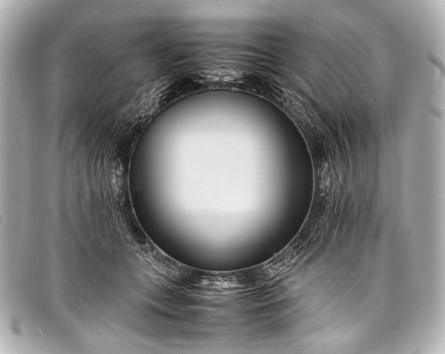 X0000098080559200804181201