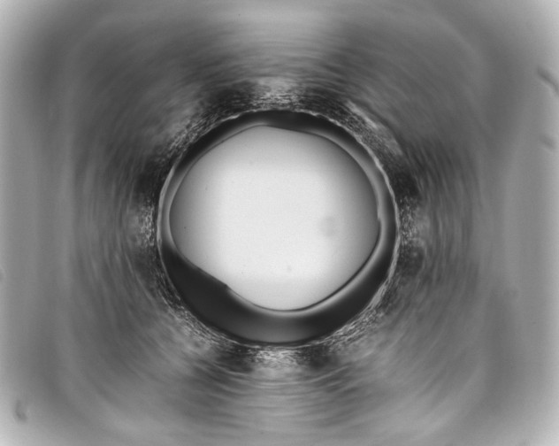 X0000098080560200804181201