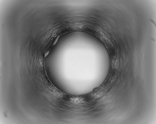 X0000098080561200804181201