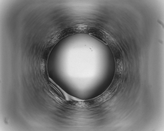 X0000098080562200804181201