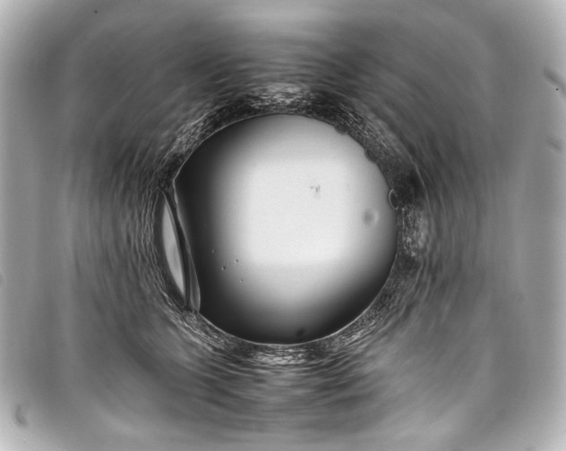 X0000098080563200804181201