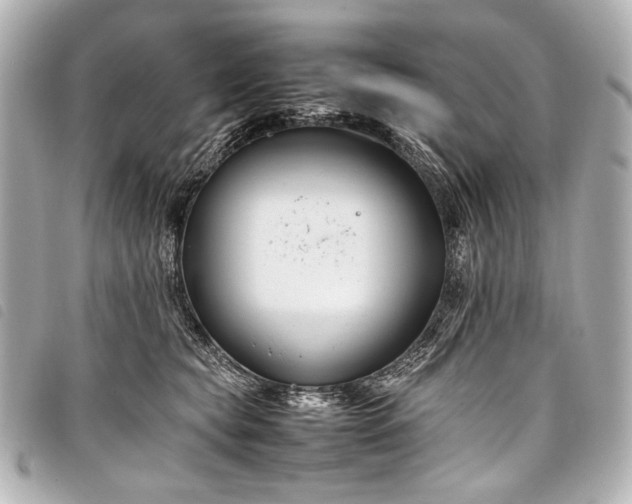 X0000098080565200804181201