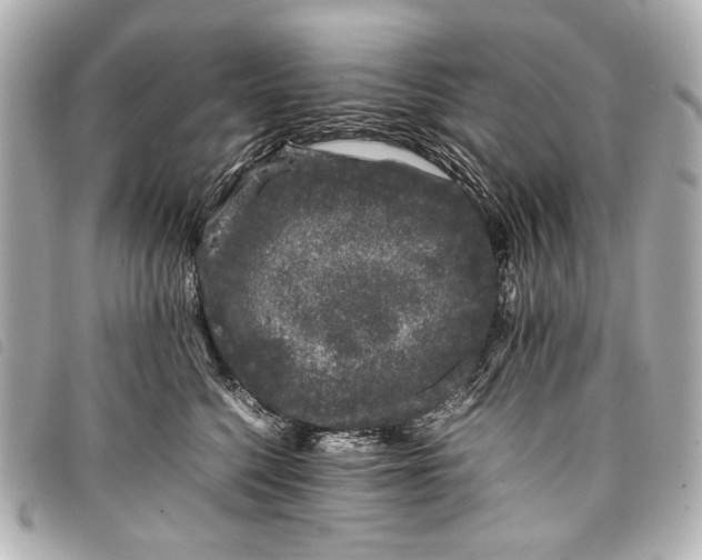 X0000098080568200804181202