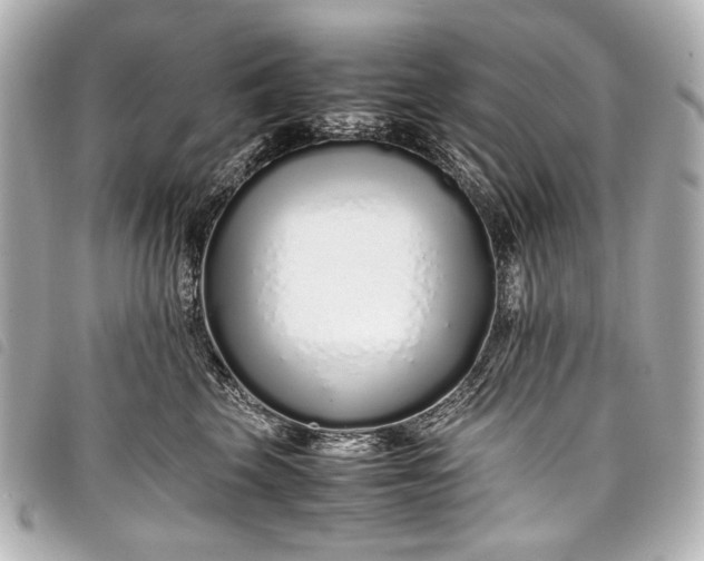 X0000098080569200804181202