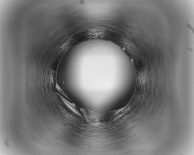 X0000098080570200804181202