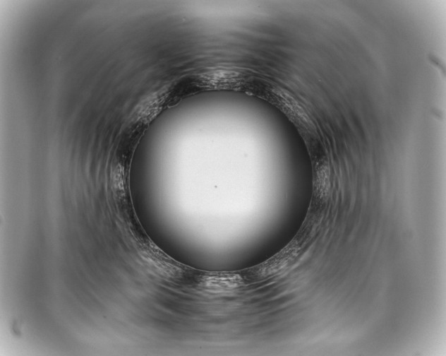 X0000098080571200804181202