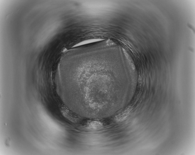 X0000098080572200804181202