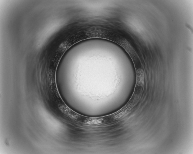 X0000098080573200804181202