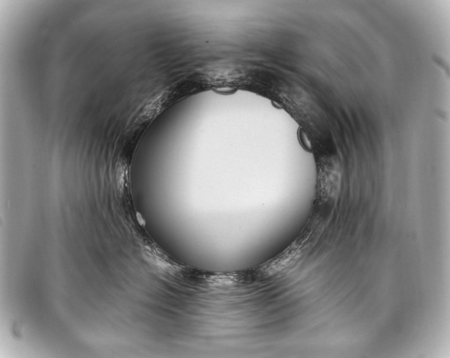 X0000098080574200804181202