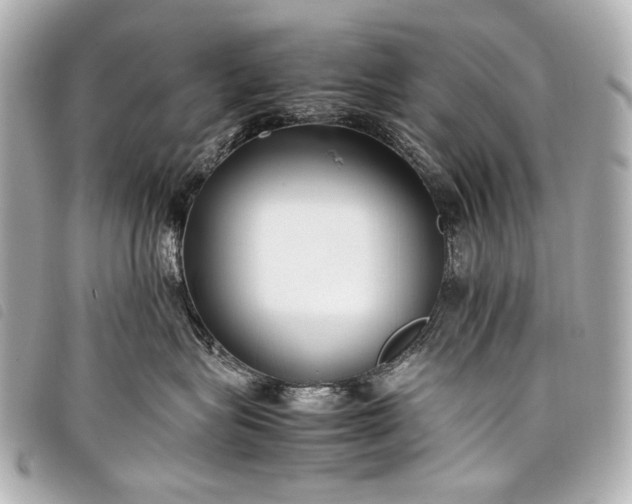 X0000098080575200804181202