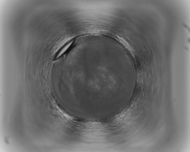 X0000098080577200804181201