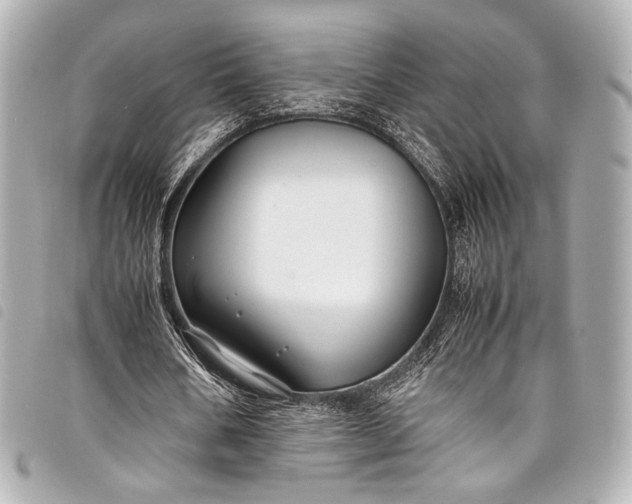 X0000098080578200804181201