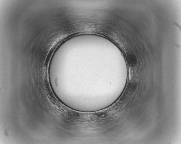 X0000098080579200804181201