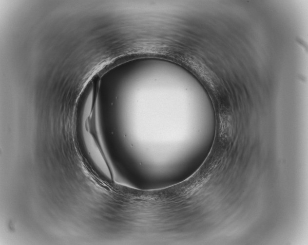 X0000098080580200804181201