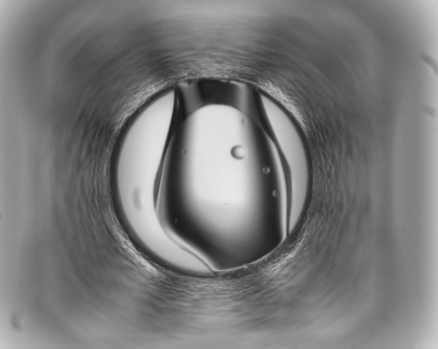 X0000098080581200804181201