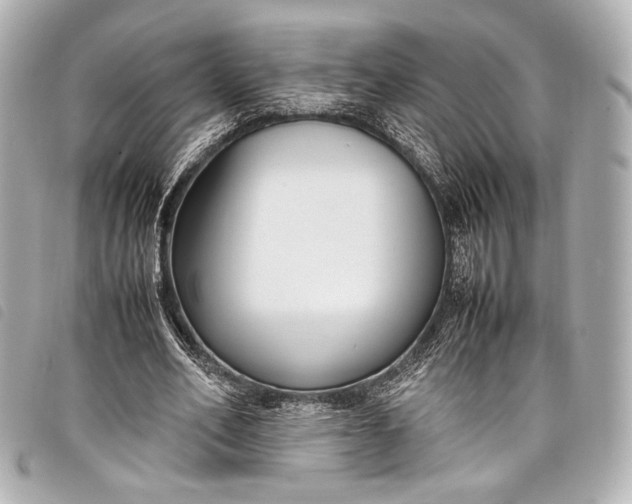 X0000098080582200804181201