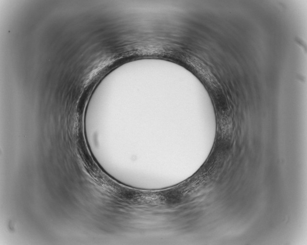 X0000098080583200804181201