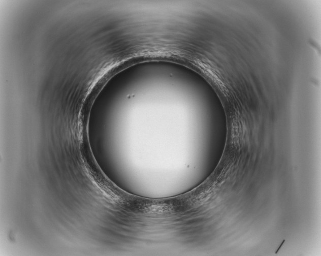 X0000098080584200804181201