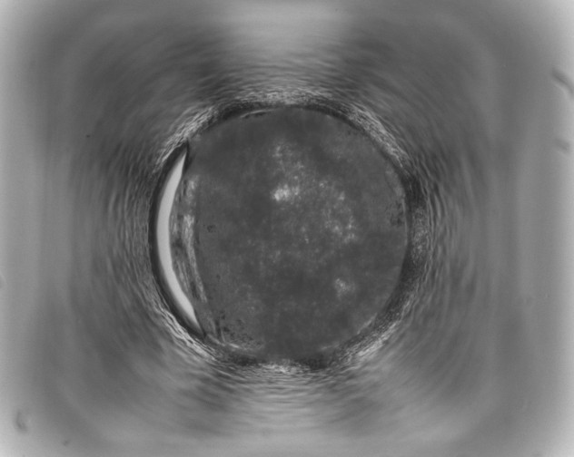 X0000098080585200804181201